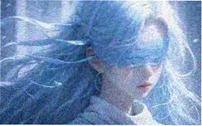 蝴蝶影院花海